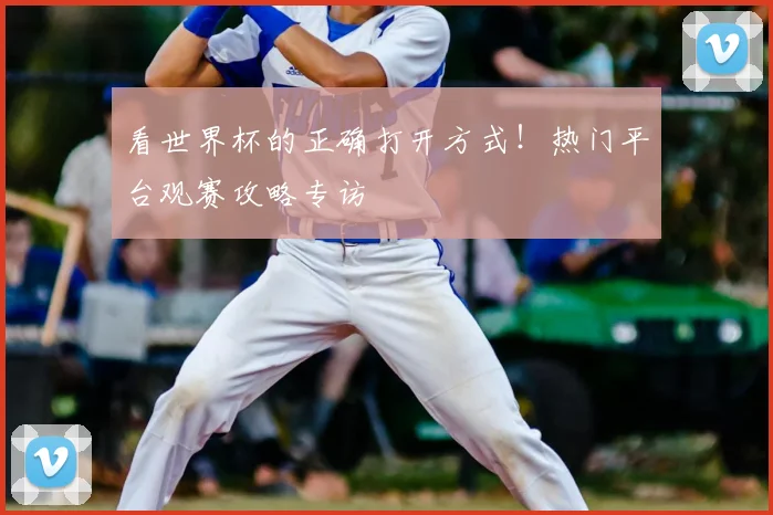 看世界杯的正确打开方式！热门平台观赛攻略专访