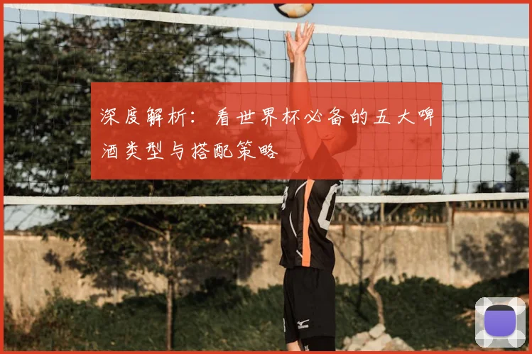 深度解析：看世界杯必备的五大啤酒类型与搭配策略