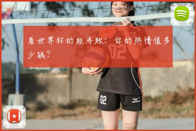 看世界杯的经济账：你的热情值多少钱？