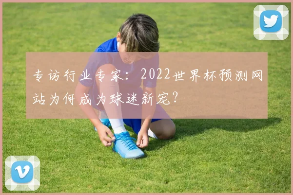 专访行业专家:2022世界杯预测网站为何成为球迷新宠?